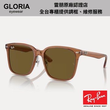 Ray Ban｜RB2206D-663673 方形膠框太陽眼鏡【葛洛麗雅眼鏡】