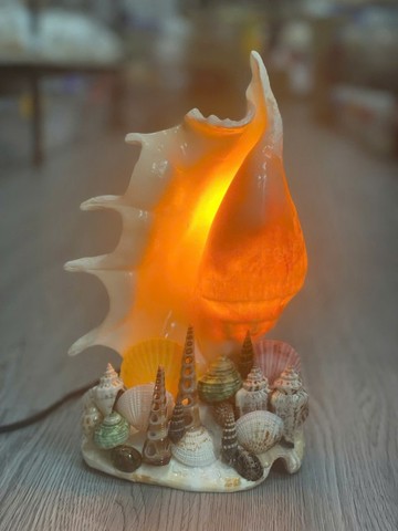 手工貝殼夜燈