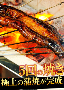 [001-b002] ふっくら焼き上げ！国産うなぎ蒲焼き4尾セット