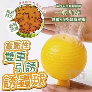 【粿女兒商行】??現貨 高黏性雙重引誘誘蟲球 果蠅