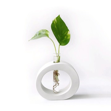 (現貨) 純灰系列 | 黃金葛 室內水培植栽 圓圈水泥水耕花架