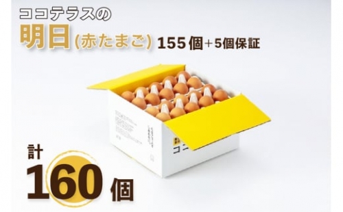 ココテラスの明日（赤たまご）155個 5個保証（計160個）