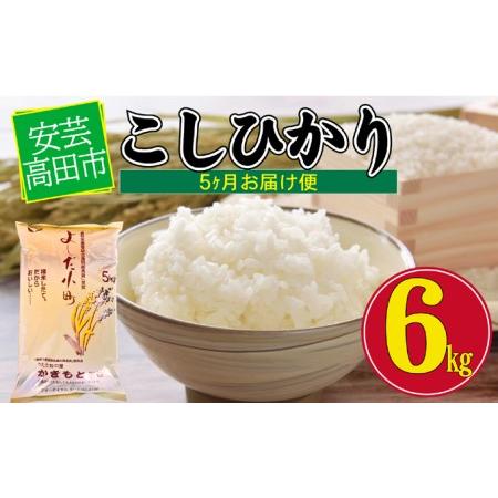 ふるさと納税 米 令和5年産　安芸高田市産コシヒカリ6kg 広島県安芸高田市