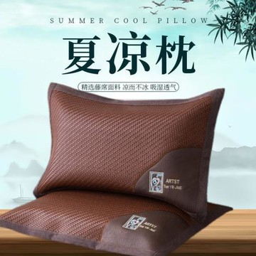 夏季冰絲夏涼枕頭帶枕套含蕎麥內膽芯拉鏈高度可調節學生宿舍枕芯