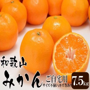 みかん ミカン 和歌山県産 訳あり みかん ミカン 5kg 10月中旬以降より入荷あり次第ご注文順に発送