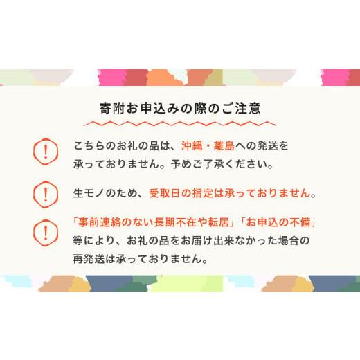 ふるさと納税 山形県 村山市 先行予約 さくらんぼ 佐藤錦 ◯秀 M玉 200g×4パック 計800g フードパック 2024年産 令和6年産 果物 果樹 フルーツ ja-snpmx8