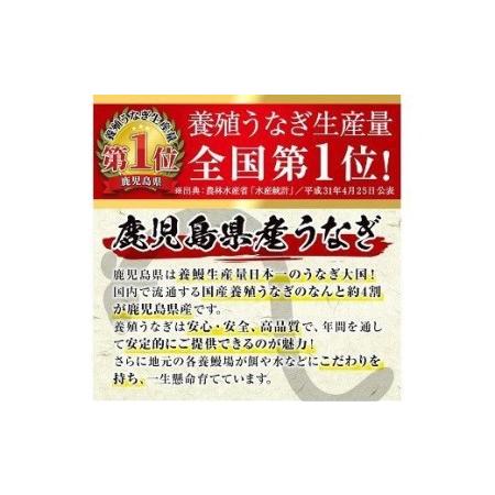 ふるさと納税 うなぎ蒲焼特大2尾（鹿児島県産うなぎ　合計約400g　鰻 のタレ付き） 期間限定 で味わう鹿児島県産 うなぎ を 冷凍 でお.. 鹿児島県いちき串木野市