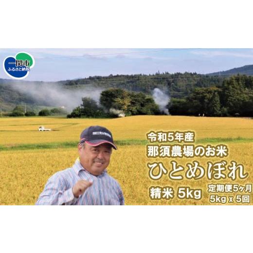 ふるさと納税 岩手県 一関市 令和5年産 新米 ひとめぼれ 精米5kg