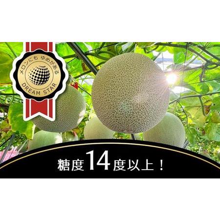 ふるさと納税 さぬきメロン Dream Star 1.3kg以上 香川県坂出市