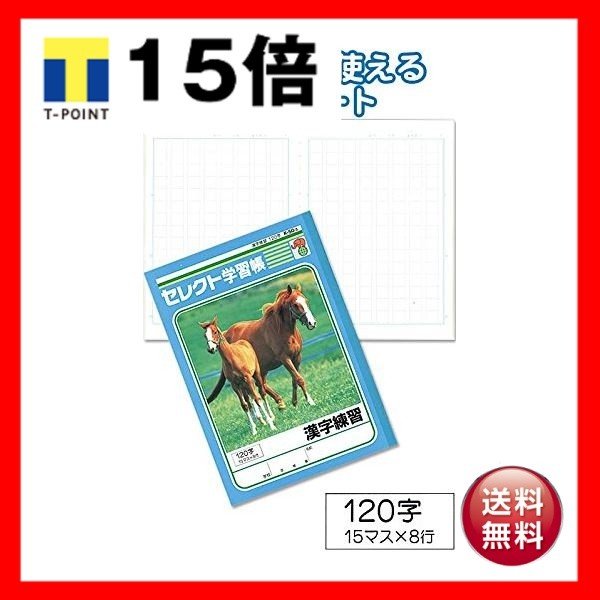 学習帳K-50-3漢字練習 120字 〔10個セット〕 31-366