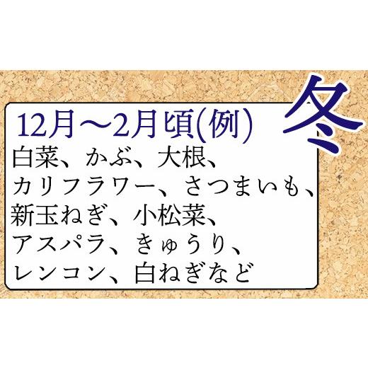 ふるさと納税 佐賀県 唐津市 野菜セット 新鮮とれたて旬の野菜 季節の野菜 詰合せ サラダ「2023年 令和5年」