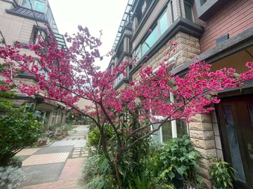 新竹皇昱尊品崗石別墅+雙車位｜新竹市北區聖軍路