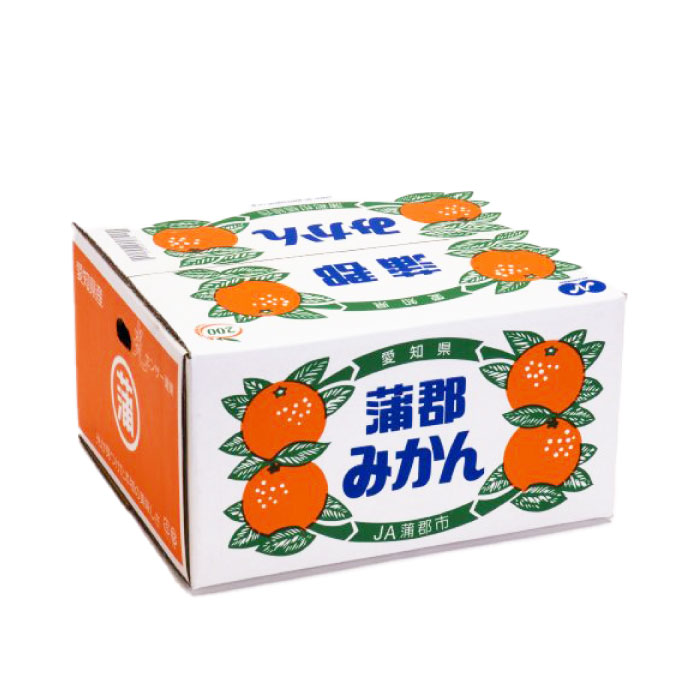 [予約 12月1日-12月20日の納品] 蒲郡みかん 北原早生 約5kg S-M 秀品 愛知県蒲郡産 冬ギフト お歳暮 御歳暮