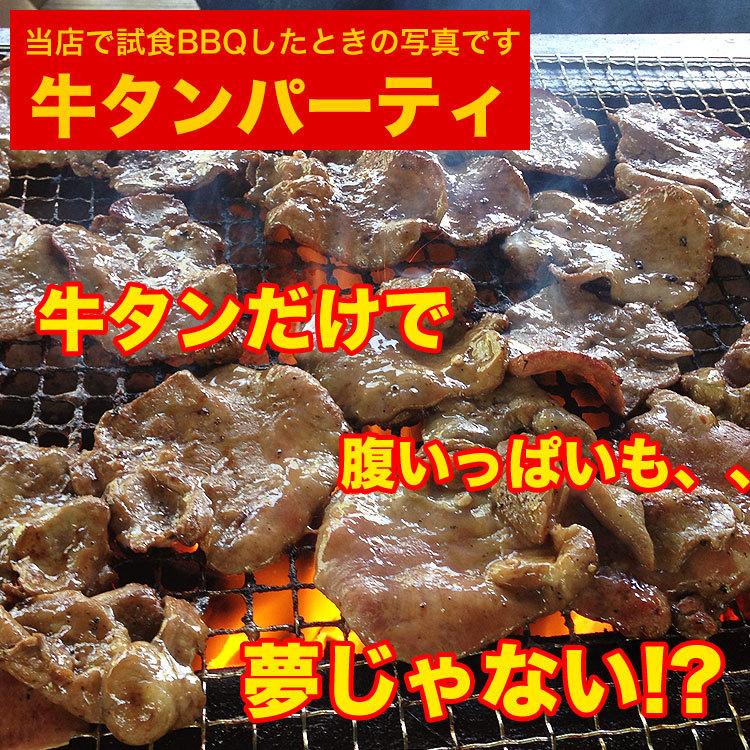 牛タン 500g 2個以上でおまけ特典チャンス (焼肉 BBQ)