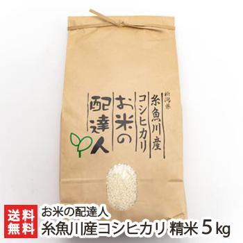 新潟 糸魚川産 コシヒカリ 精米5kg お米の配達人 送料無料