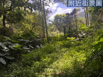 大溪原生坡地｜生態保育農牧樂活｜桃園市大溪區信義段