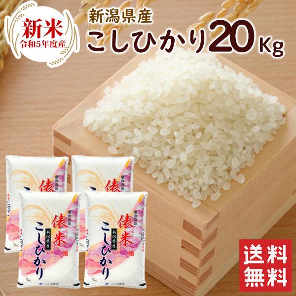 新米 新潟県産 コシヒカリ 20kg（5kg×4袋） 送料無料  令和5年度産 新潟県産 精米 米 お米 20kg（北海道・沖縄別途送料）（配達日・時間指定は不可）