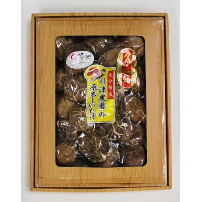 ふるさと納税 日田市 干し椎茸　約200g