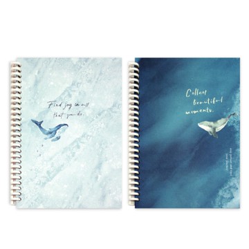 鯨魚系列 26孔 拖拉夾本-深藍/水藍