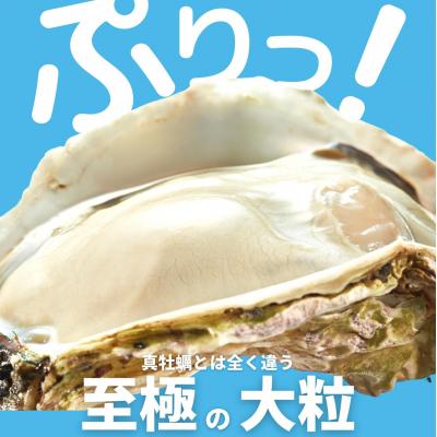 ふるさと納税 海士町 いわがき春香 計850g〜1.1kg Sサイズ5個 生食可 CAS冷凍 牡蠣 岩牡蠣 かき 認証取得