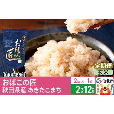 ふるさと納税 《定期便12ヶ月》令和5年産 仙北市産 おばこの匠 2kg×12回 計24kg 12か月 12ヵ月 12カ月 12ケ月 秋田こまち お米 秋.. 秋田県仙北市