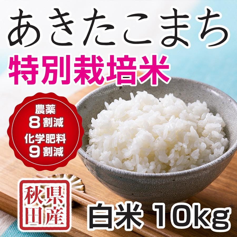 白米 令和5年産新米 秋田県産 あきたこまち 特別栽培米 10kg 農薬8割減