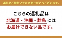 手延べそうめん 2.4kg（50g×48束）