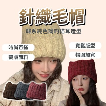 【台中出貨&貓耳針織帽】針織帽 毛帽 小惡魔針織帽 毛線帽 秋冬帽 貓咪帽 毛帽 防寒帽 帽子 韓版毛帽 保暖帽 貓耳帽