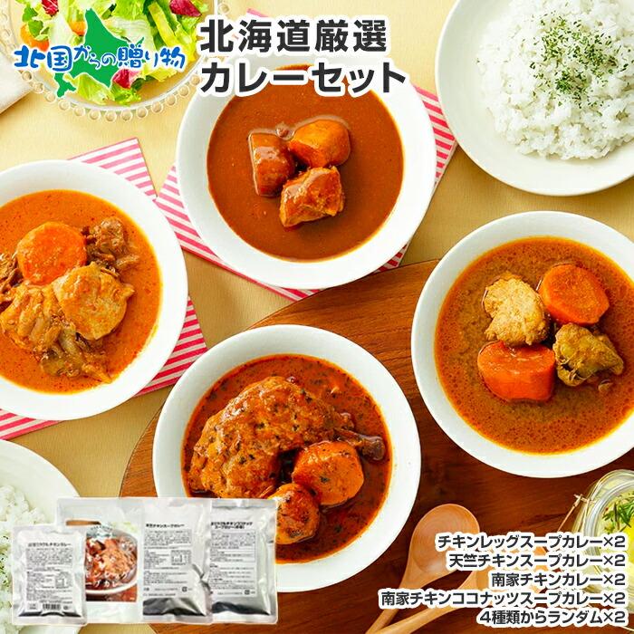 御歳暮 スープカレー レトルト 業務用 10食セット 北海道 お取り寄せ グルメ ギフト 食べ物