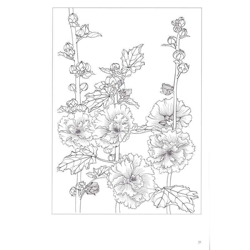 夏の花画稿　工筆画白描教学示範　下絵創作　大人の塗り絵　中国絵画 夏之花画稿　工#31508;画白描教学示范