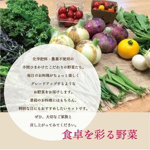 都内マルシェで人気のお野菜！秋冬 旬の野菜セットMサイズ(7～8品) F21R-212