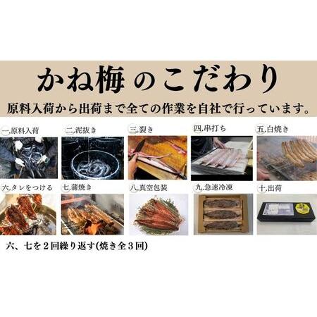 ふるさと納税 うなぎ 食べ比べセット 蒲焼き 白焼き 各1尾 国産 三河一色産 愛知県蟹江町