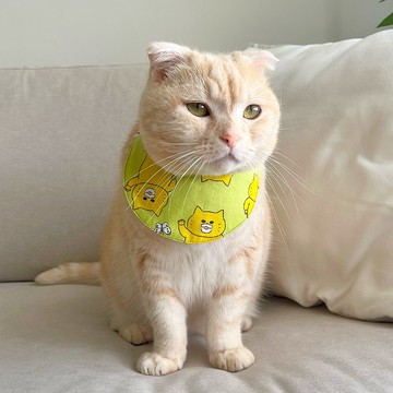 【恰氏手作】有一點哈味 哈密瓜造型雙面穿戴寵物領巾