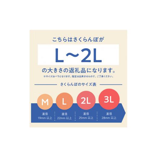 ふるさと納税 山梨県 北杜市 完熟大玉・さくらんぼ（L〜2Lバラ 約350ｇ）