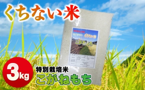 令和5年産 新米 くちない米　(こがねもち 白米) 3㎏