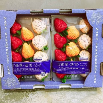 【帕查嬤嬤】🇯🇵日本 奈良 稀有品種 三色草莓🍓｜日本草莓禮盒