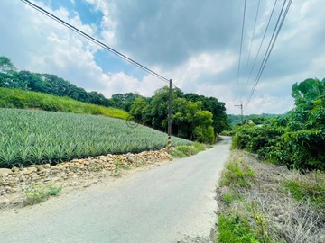 大樹義大世界旁大面寬2.57分農地(二)｜高雄市大樹區學城段