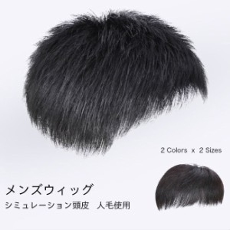 人毛 22X20㎝ 男性部分 かつら ノーカット 勿体なく 