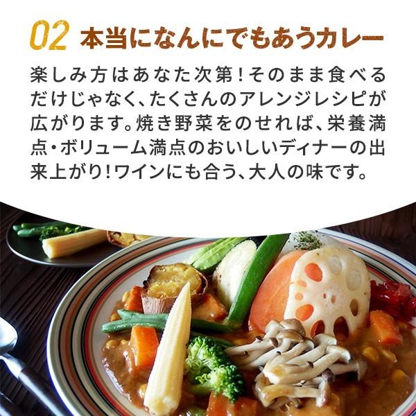 五島の鯛で出汁をとったなんにでもあうカレー（ビーフ）1袋