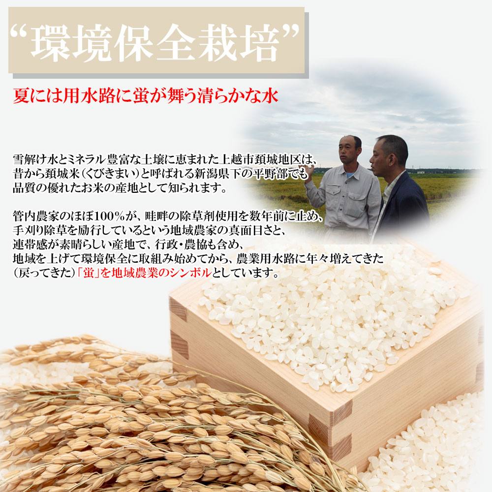 新米 米 30kg 送料無料 新潟産 1等米 みずほの輝き白米 農薬5割減 産年：令和5年 生産者：辻勉氏　お米の粒がふっくらと大きいため食感◎