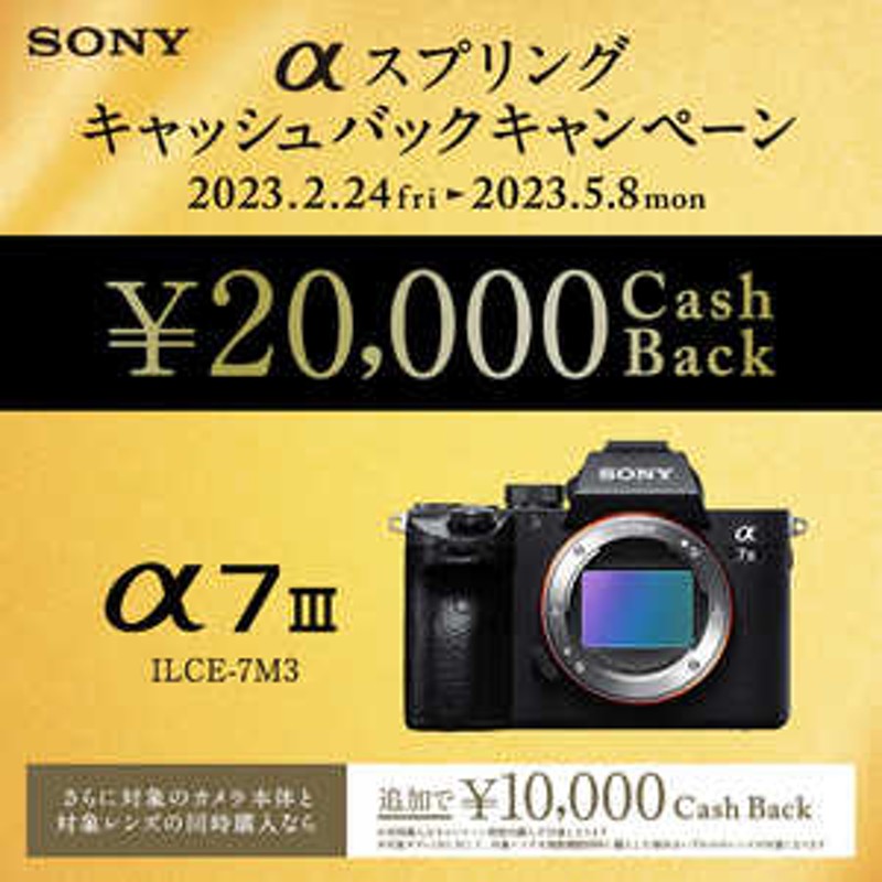 ソニー SONY ミラーレス一眼カメラ α7III ズームレンズキット ILCE