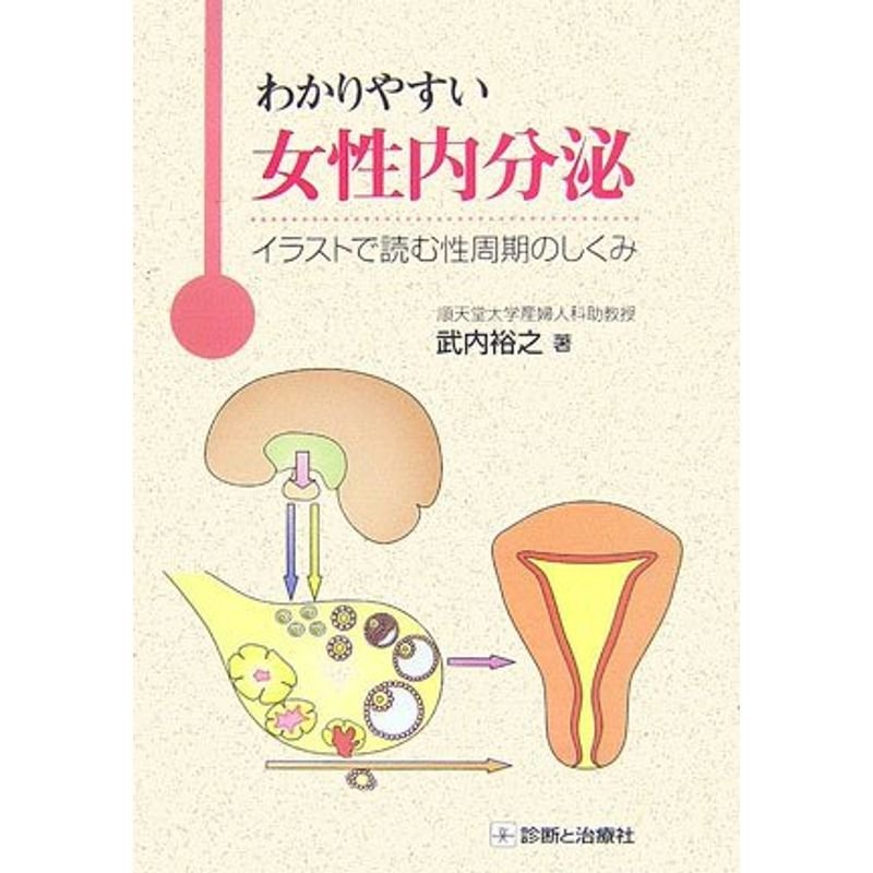 わかりやすい女性内分泌?イラストで読む性周期のしくみ