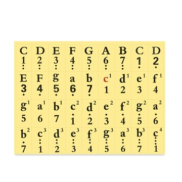 49鍵手捲鋼琴數字簡譜貼紙(適用於49鍵手捲鋼琴 電子琴 電鋼琴 鋼琴)