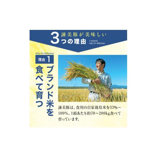 ふるさと納税 長崎県 諫早市 『定期便』_諫美豚(かんびとん)おすすめバラエティセット3kg_全3回