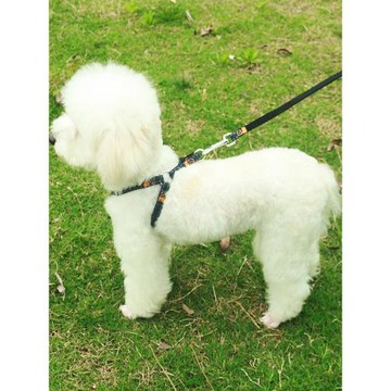狗鏈子小型犬泰迪牽引繩中型犬金毛遛狗牽引繩大型犬拉布拉多夏天