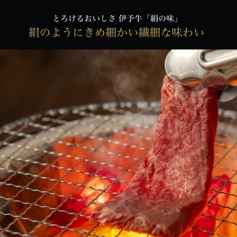 牛肉 伊予牛 絹の味 A4 黒毛和牛 和牛 ロース 焼肉用 500g 送料無料 (北海道・沖縄を除く) 2023 プレゼント