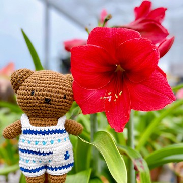 荷蘭 Just Dutch | Boris 編織娃娃和他的新款台夫特藍吊帶褲