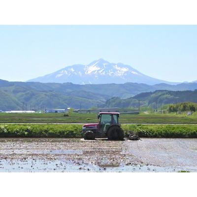 ふるさと納税 青森県鰺ヶ沢町産令和5年産 つがるロマン 白米 15kg（15kg×1袋） 青森県鰺ヶ沢町