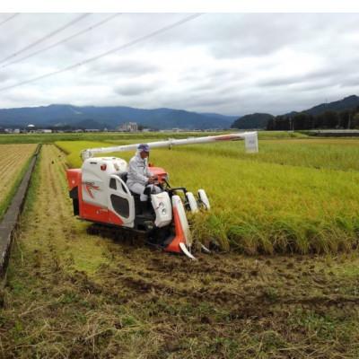 ふるさと納税 勝山市 越前九頭龍米(5kg×2袋)