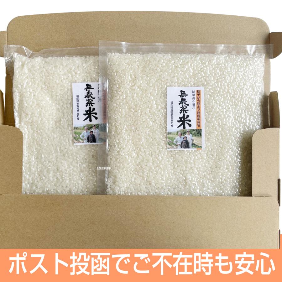 特別栽培米 お試しセット コシヒカリ 2合×2袋 農薬不使用（栽培期間中）白米 コメ 米 福岡県産 令和5年産